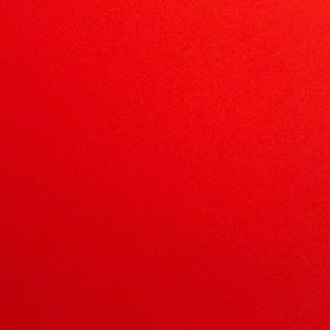 Meet your Posher, Bella